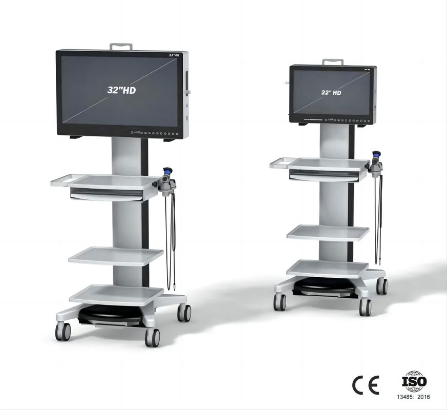 Sorgente luminosa fredda completa BTH-9122H della macchina fotografica 80W LED dell'endoscopio del monitor a 22 pollici HD