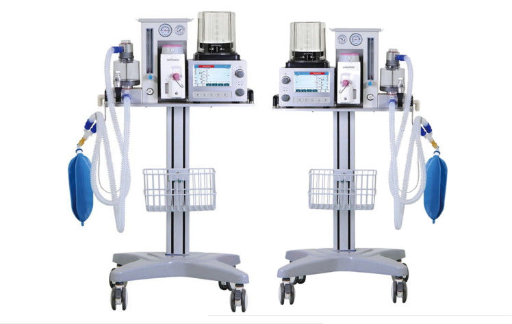 Esposizione LCD di anestesia di DM6B del ventilatore di colore a 7 pollici veterinario del sistema CA 100-240V